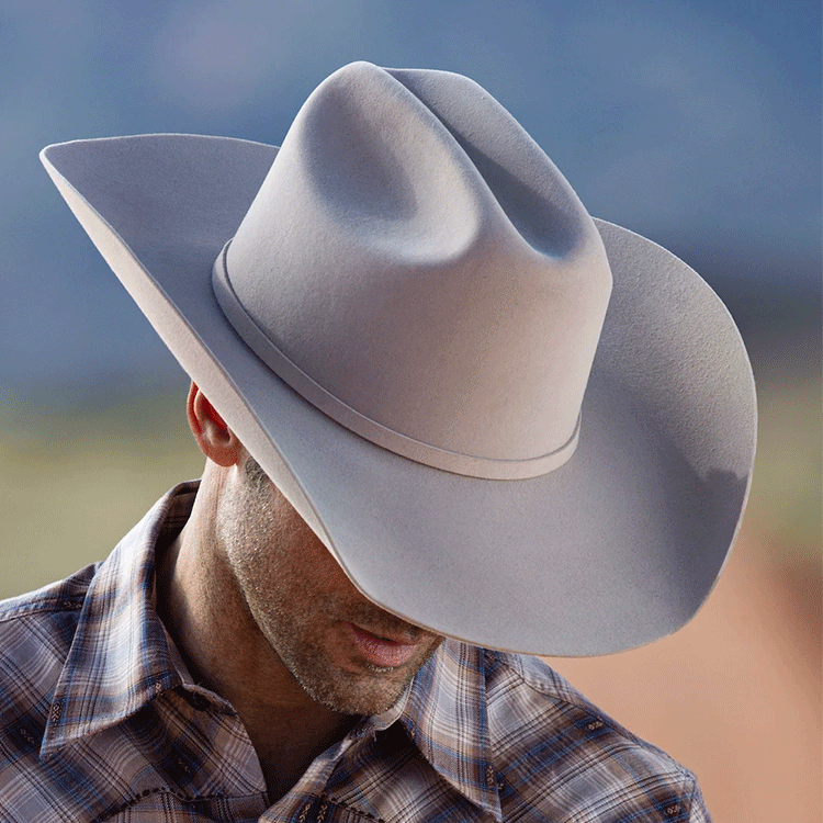 Stetson 6X Skyline Cowboy Silver Belly The Hat Store